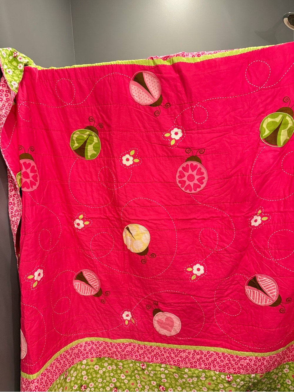 Circo Pink and Lime Floral Ladybug Quilt Set gently used full/queen size - Picture 4 of 14